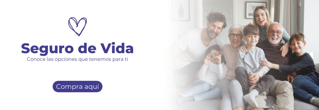 Conoce las opciones que tenemos para ti