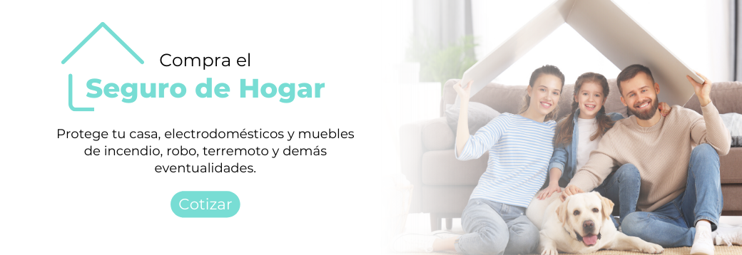 banner elimseguros